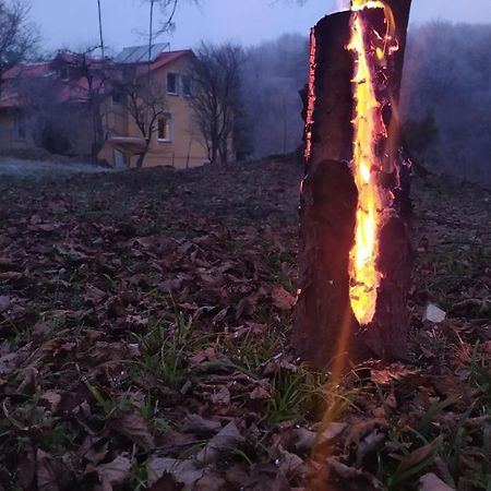Apartament W Domu Na Wsi Tomaszów Lubelski Esterno foto