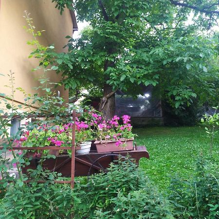 Apartament W Domu Na Wsi Tomaszów Lubelski Esterno foto