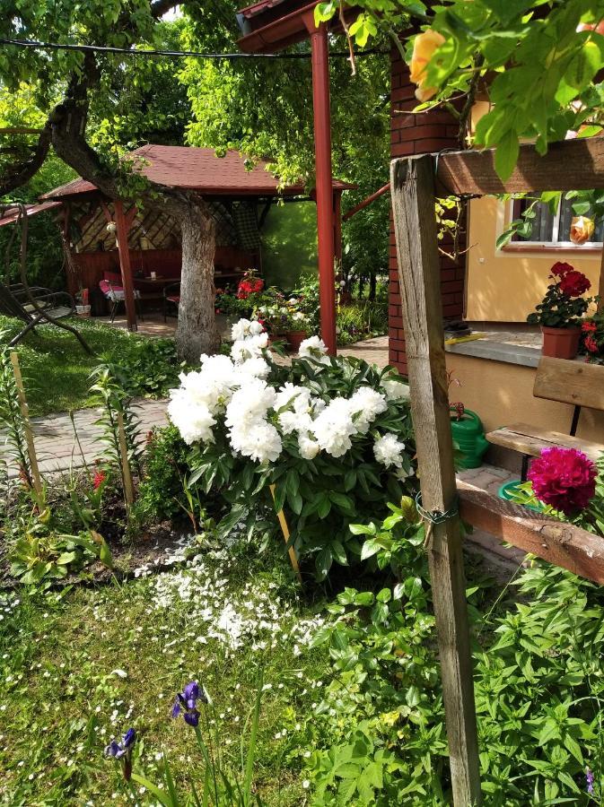 Apartament W Domu Na Wsi Tomaszów Lubelski Esterno foto