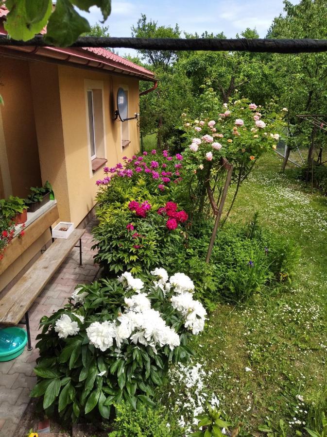 Apartament W Domu Na Wsi Tomaszów Lubelski Esterno foto
