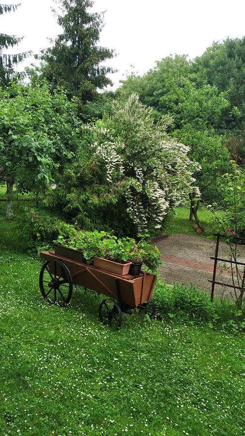 Apartament W Domu Na Wsi Tomaszów Lubelski Esterno foto