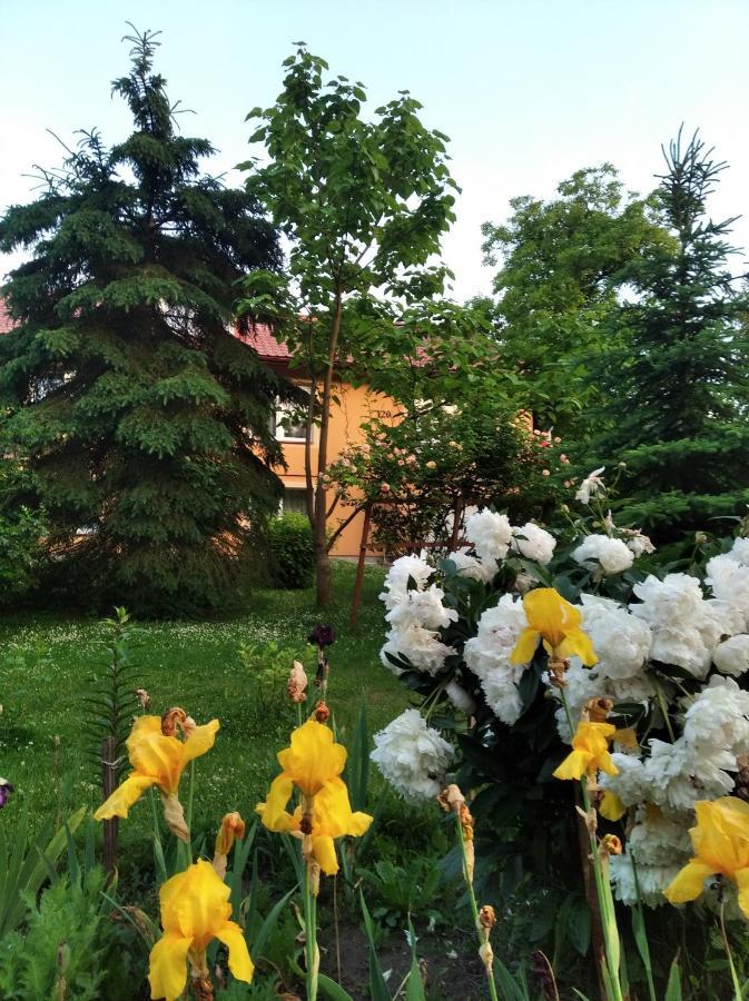 Apartament W Domu Na Wsi Tomaszów Lubelski Esterno foto