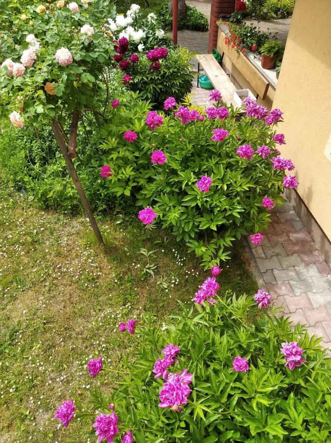 Apartament W Domu Na Wsi Tomaszów Lubelski Esterno foto