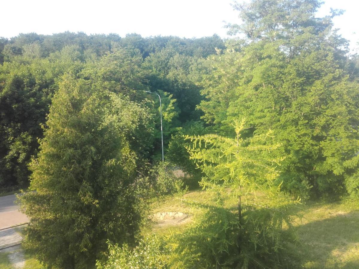 Apartament W Domu Na Wsi Tomaszów Lubelski Esterno foto